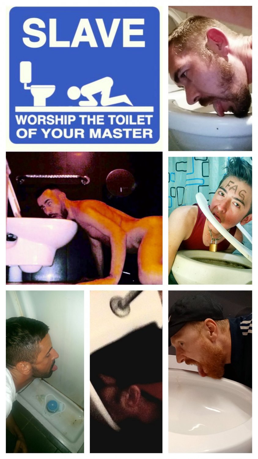 Toilet Faggots #N6jvLXdO