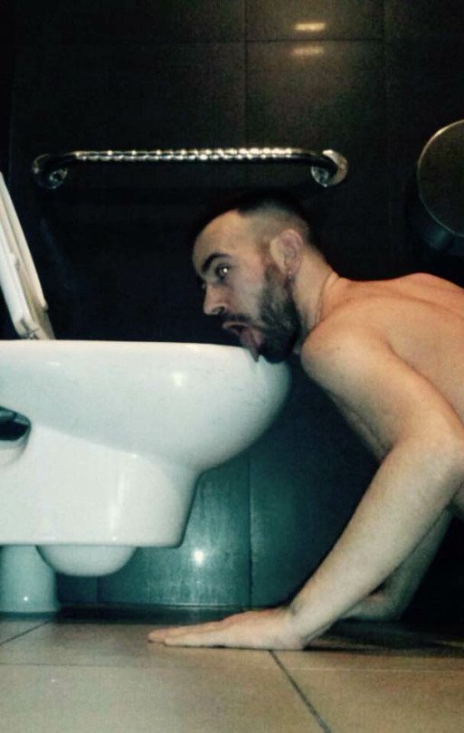 Toilet Faggots #mG5xeA0y